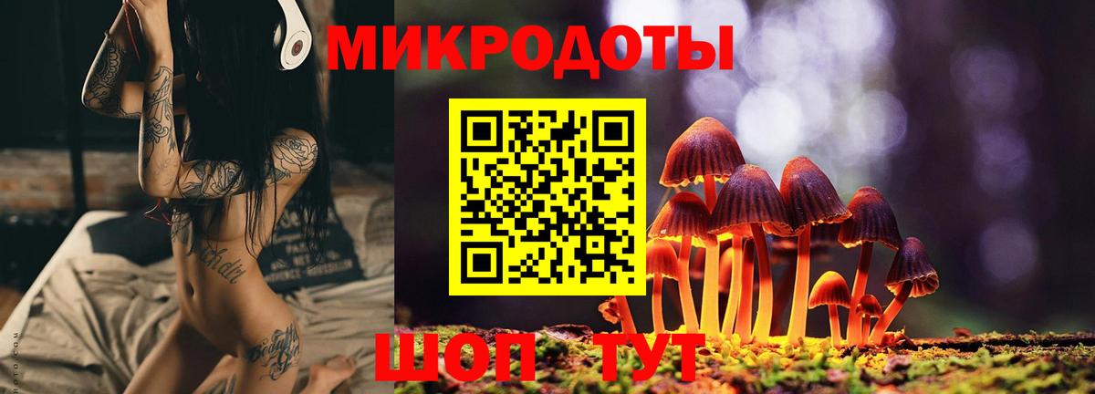 Псилоцибиновые грибы мухоморы Лениногорск